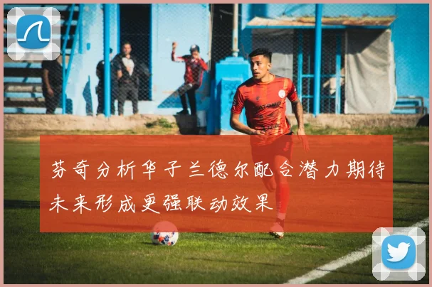 芬奇分析华子兰德尔配合潜力期待未来形成更强联动效果