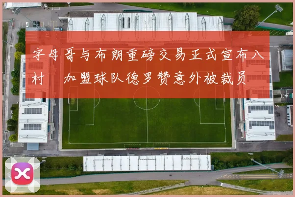 字母哥与布朗重磅交易正式宣布八村塁加盟球队德罗赞意外被裁员
