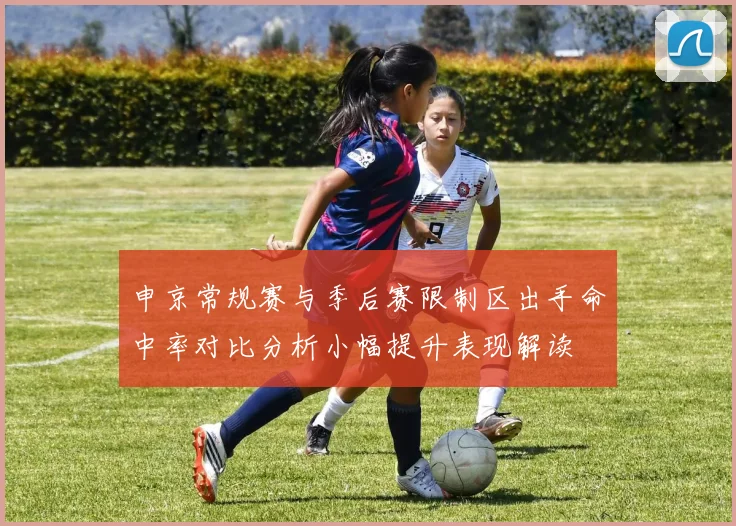 申京常规赛与季后赛限制区出手命中率对比分析小幅提升表现解读
